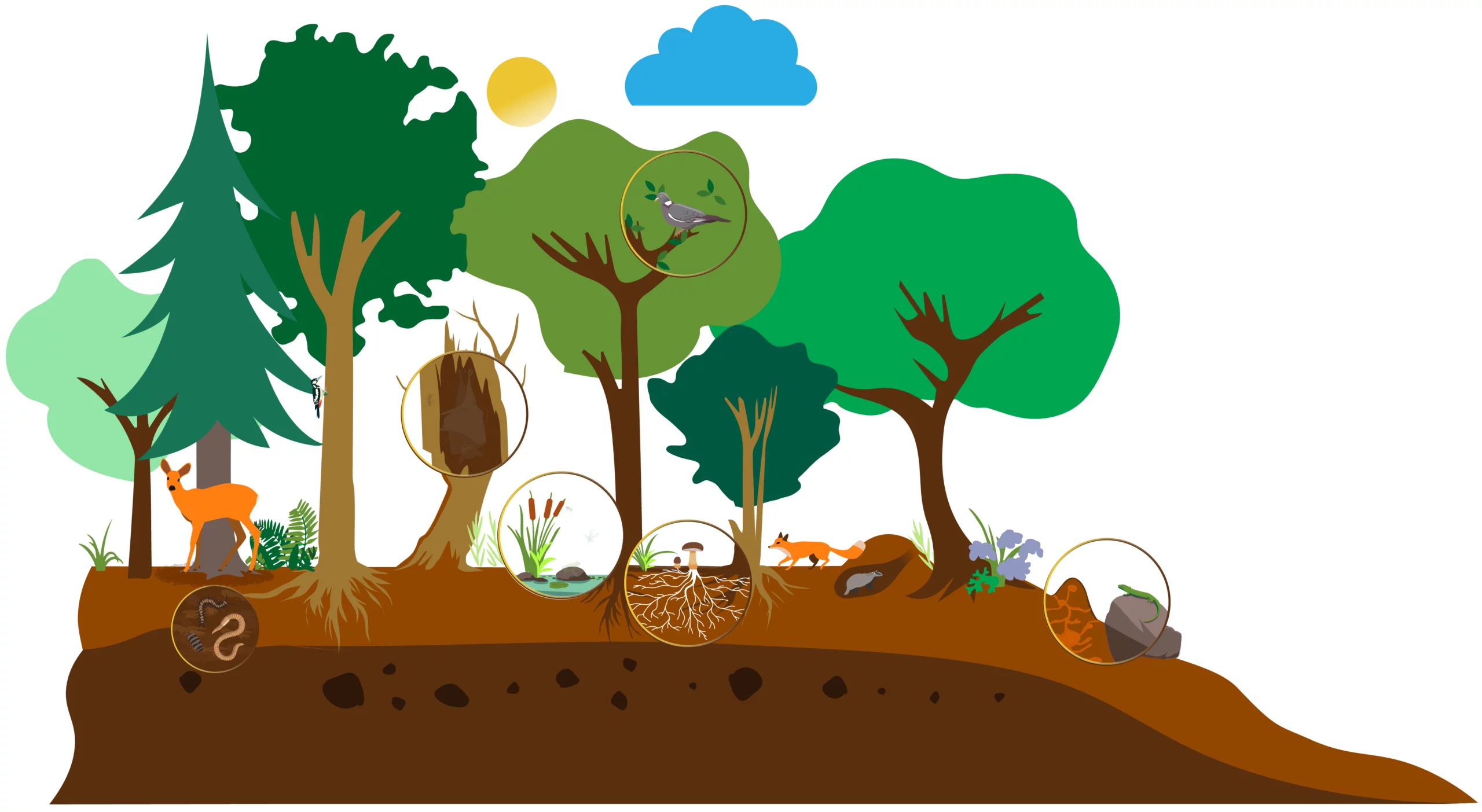 La forêt