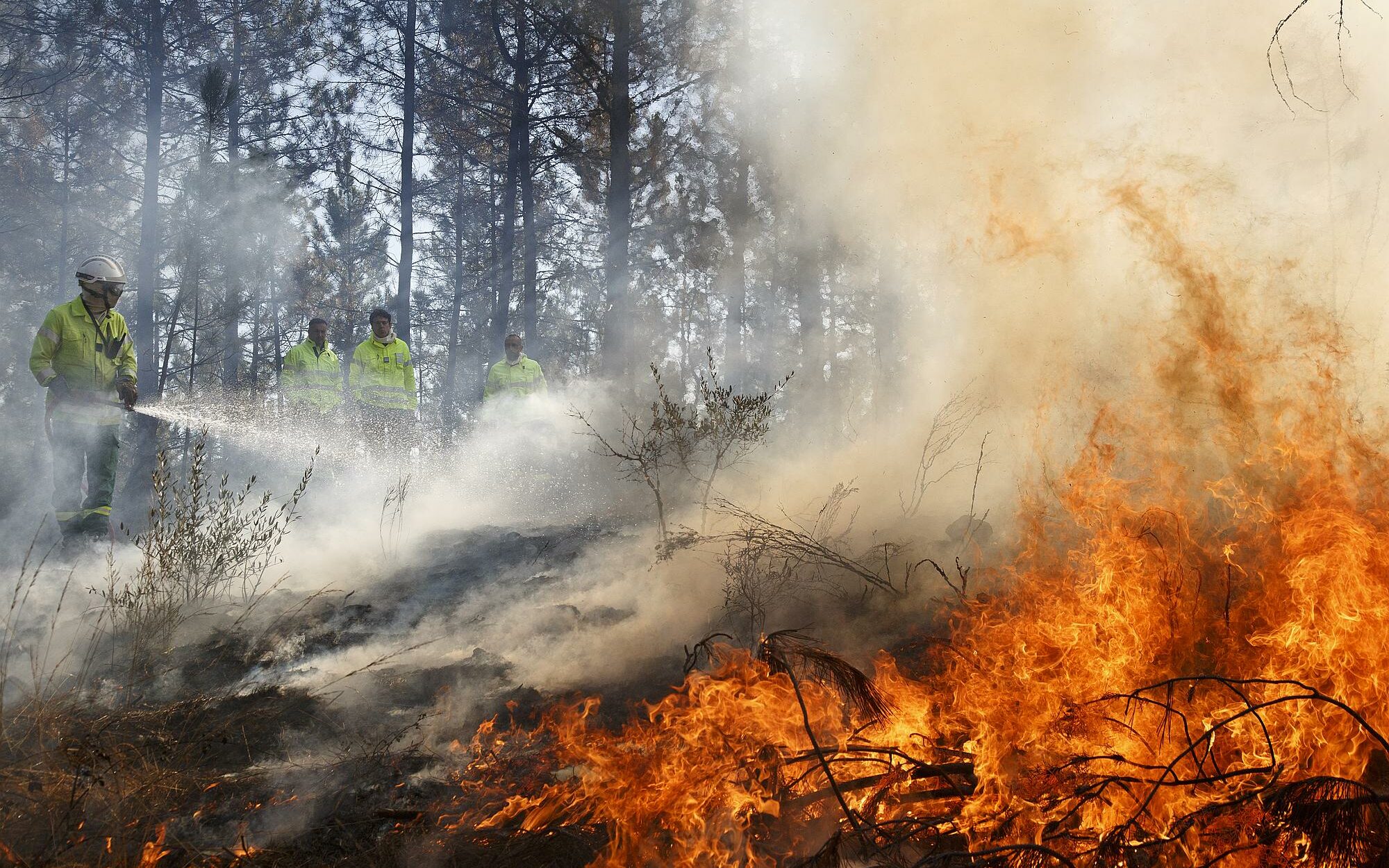 Arrosage du feu par un APFM pour contrôler le feu en forêt domaniale du Rouvergue (30)