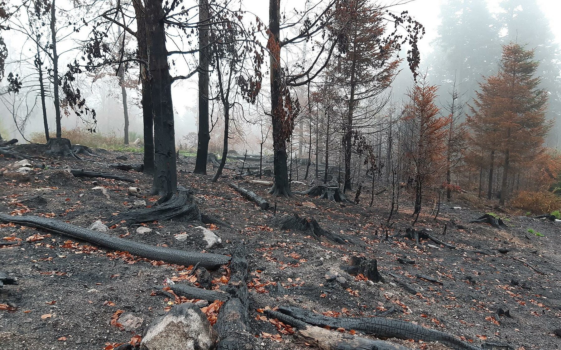 Incendie : Le Ménil