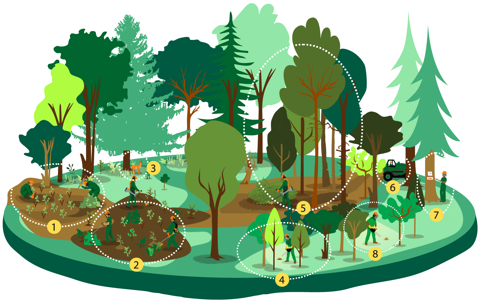 Des travaux pour la forêt